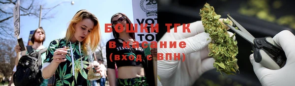 гидра Володарск