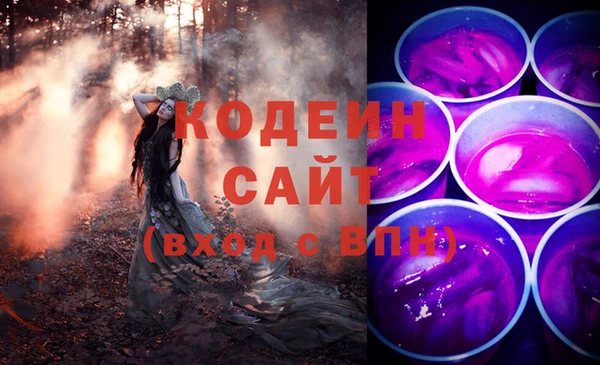 твердый Вяземский