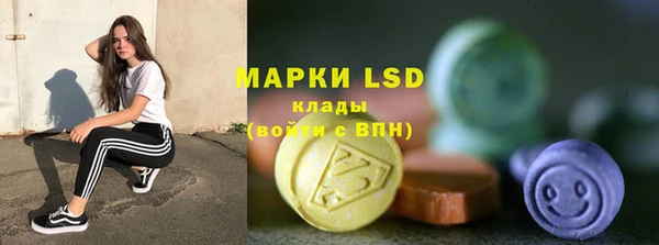 твердый Вяземский
