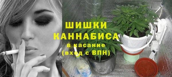 ешки Сосновый Бор