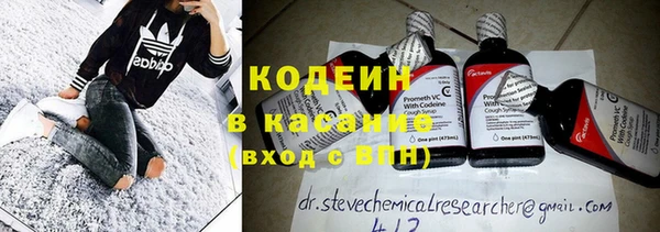 твердый Вяземский