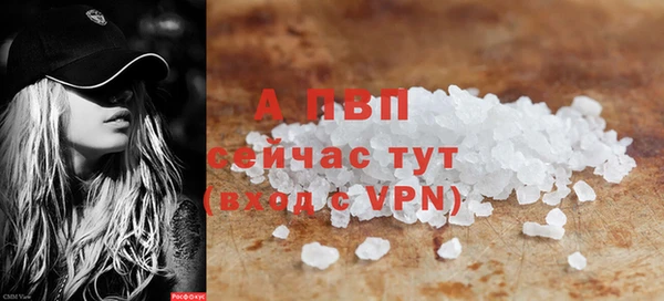 твердый Вяземский