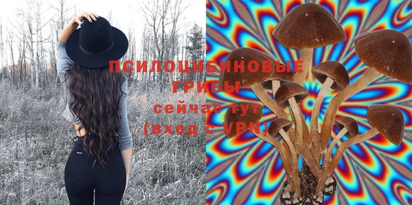 герыч Верея