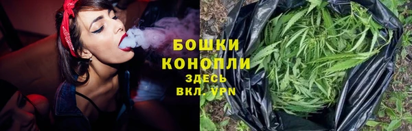 дурь Горно-Алтайск