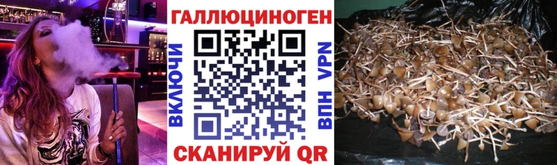 Псилоцибиновые грибы мицелий  Заозёрск 